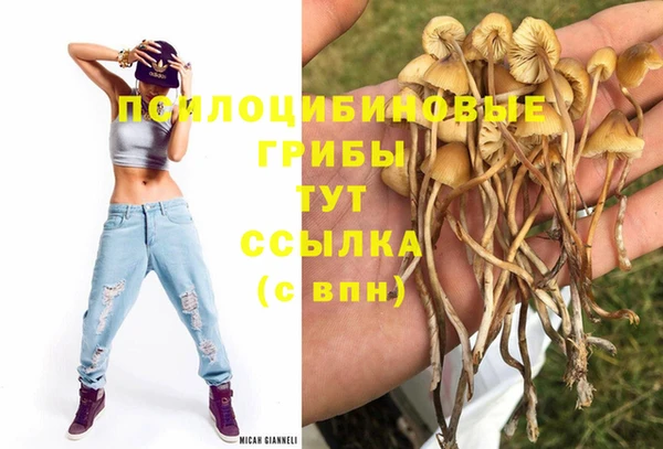 стафф Абдулино