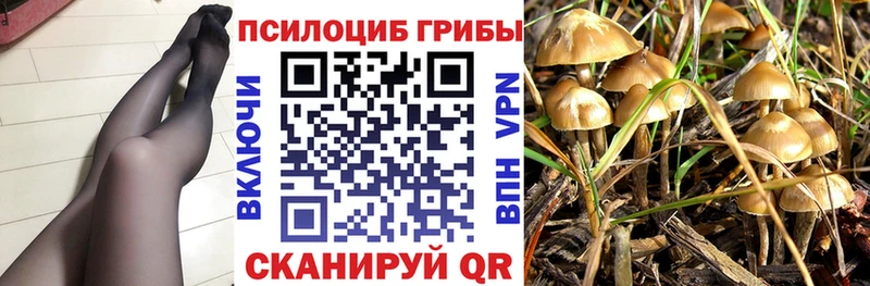 Псилоцибиновые грибы Cubensis  закладки  darknet наркотические препараты  Альметьевск 