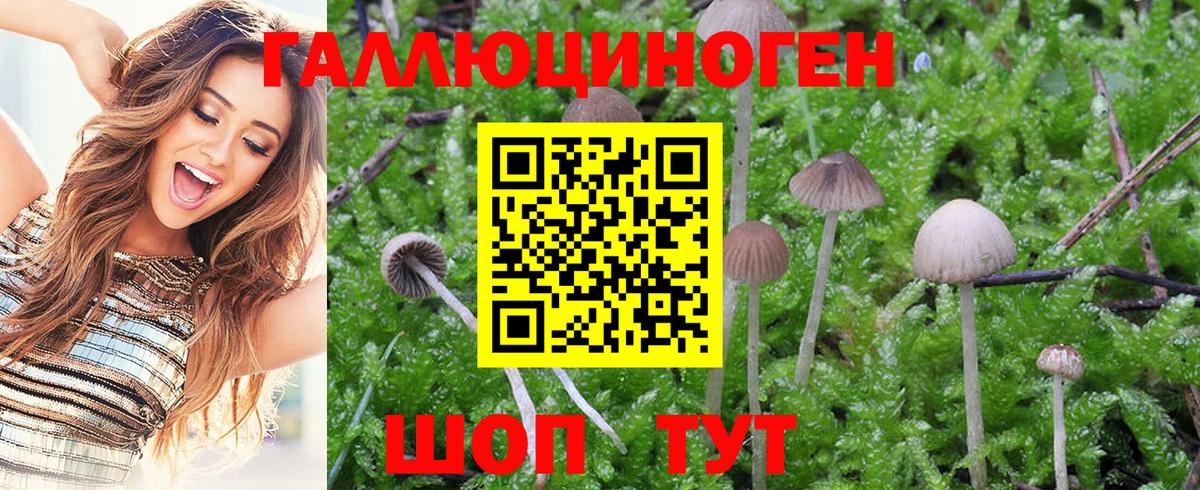 Галлюциногенные грибы MAGIC MUSHROOMS  даркнет сайт  Альметьевск  Вход с VPN 